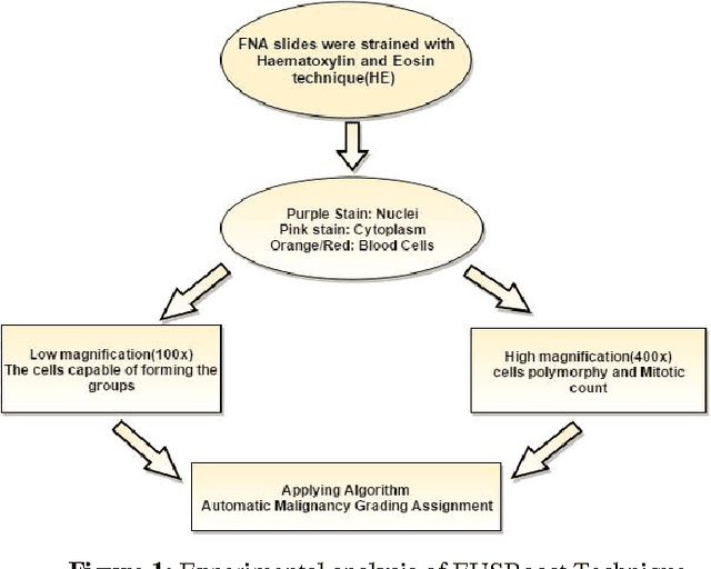 Figure 1 for Ensemble classifier approach in breast cancer detection and malignancy grading- A review