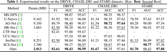 Figure 2 for Retinal Vessel Segmentation with Pixel-wise Adaptive Filters