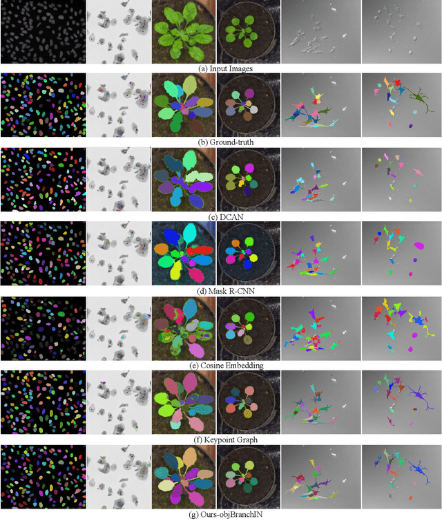 Figure 4 for Object-Guided Instance Segmentation for Biological Images