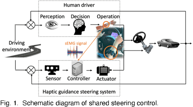 Figure 1 for Adaptive driver-automation shared steering control via forearm surface electromyography measurement