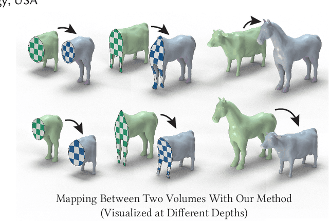 Figure 1 for Symmetric Volume Maps