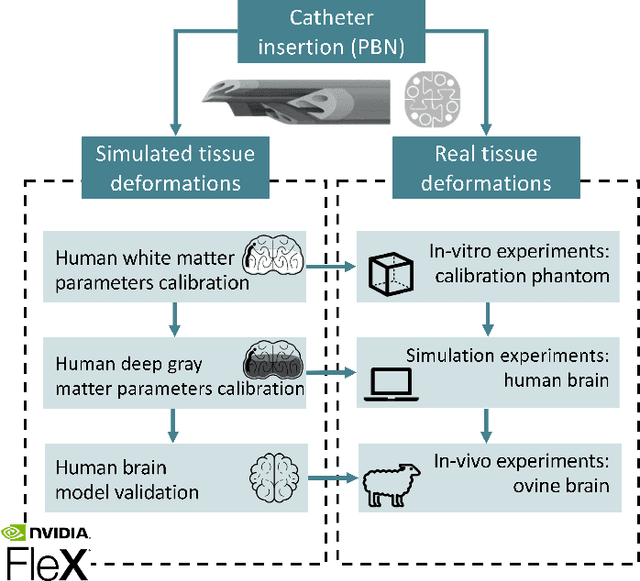 Figure 1 for Position-based Dynamics Simulator of Brain Deformations for Path Planning and Intra-Operative Control in Keyhole Neurosurgery