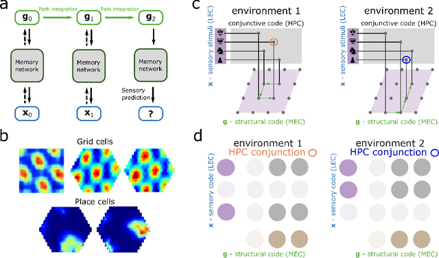 Figure 2 for Relating transformers to models and neural representations of the hippocampal formation