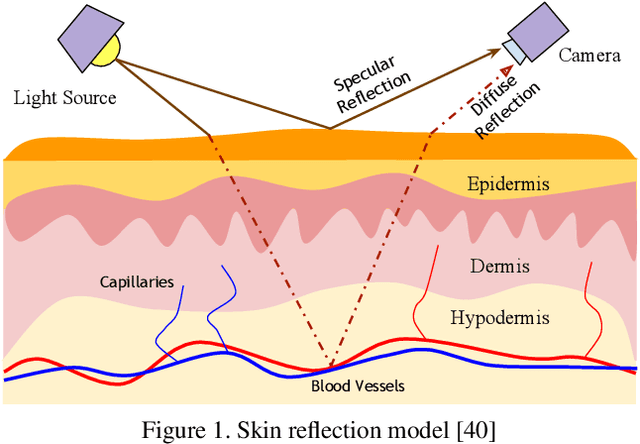 Figure 1 for The First Vision For Vitals  Challenge for Non-Contact Video-Based Physiological Estimation