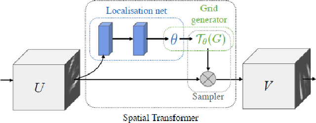 Figure 1 for Transformation Invariant Cancerous Tissue Classification Using Spatially Transformed DenseNet