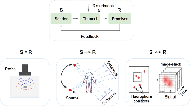 Figure 2 for Deep Learning for Biomedical Image Reconstruction: A Survey