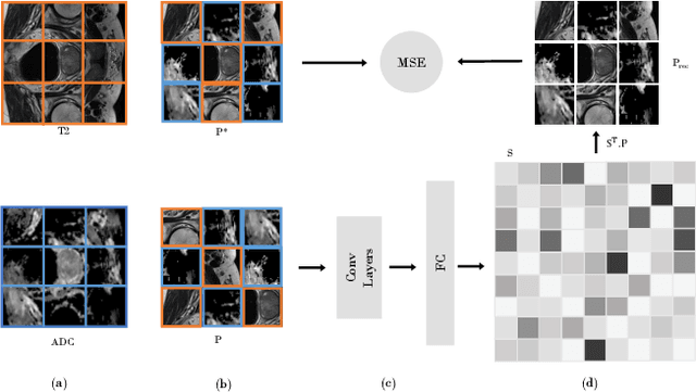 Figure 1 for Multimodal Self-Supervised Learning for Medical Image Analysis