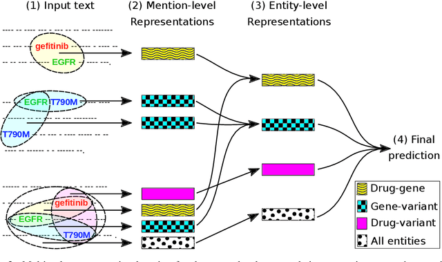 Figure 3 for Document-Level $N$-ary Relation Extraction with Multiscale Representation Learning