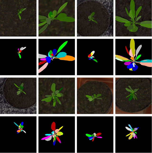Figure 3 for Deep Leaf Segmentation Using Synthetic Data