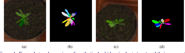 Figure 1 for Deep Leaf Segmentation Using Synthetic Data