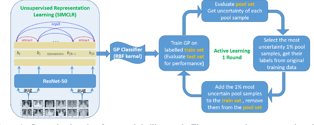 Figure 1 for Highly Efficient Representation and Active Learning Framework for Imbalanced Data and its Application to COVID-19 X-Ray Classification