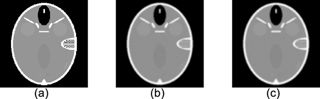 Figure 2 for Entropy Regularized Iterative Weighted Shrinkage-Thresholding Algorithm (ERIWSTA): An Application to CT Image Restoration
