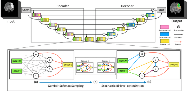 Figure 1 for Scalable Neural Architecture Search for 3D Medical Image Segmentation