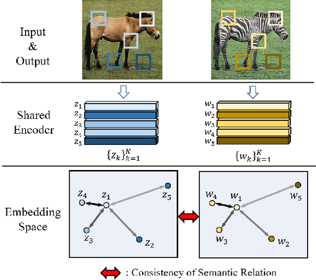 Figure 1 for Exploring Patch-wise Semantic Relation for Contrastive Learning in Image-to-Image Translation Tasks