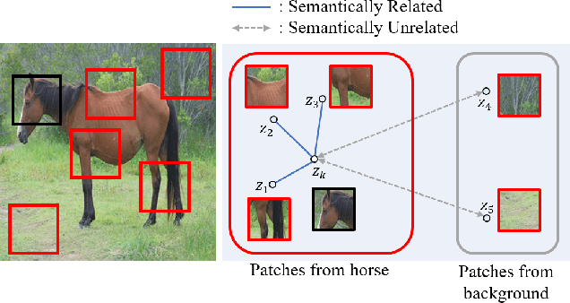 Figure 3 for Exploring Patch-wise Semantic Relation for Contrastive Learning in Image-to-Image Translation Tasks