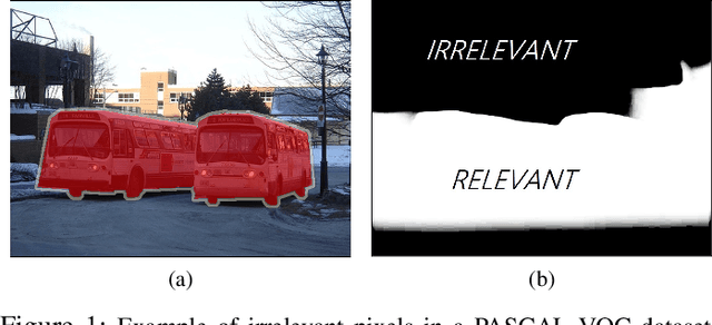 Figure 1 for Irrelevant Pixels are Everywhere: Find and Exclude Them for More Efficient Computer Vision