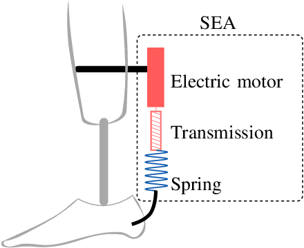 Figure 3 for Robust Optimal Design of Energy Efficient Series Elastic Actuators: Application to a Powered Prosthetic Ankle