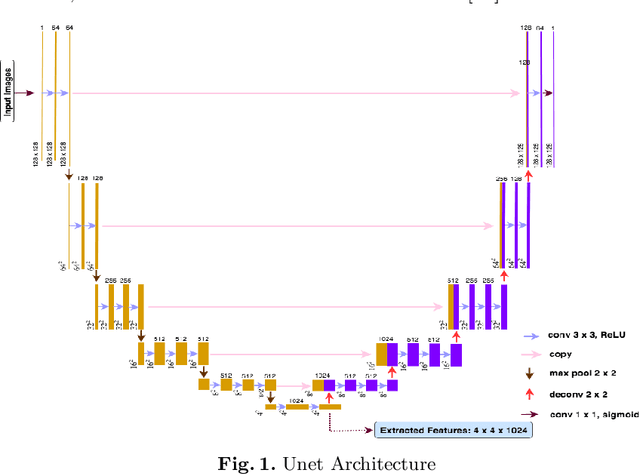 Figure 1 for Automated Computer Evaluation of Acute Ischemic Stroke and Large Vessel Occlusion