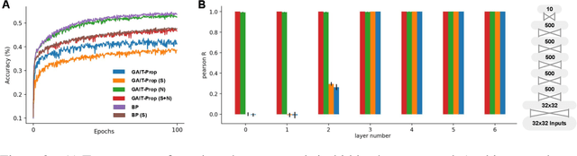 Figure 2 for Scaling up learning with GAIT-prop