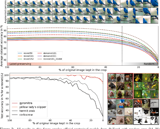 Figure 2 for The Effects of Regularization and Data Augmentation are Class Dependent