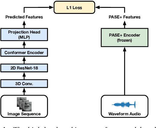 Figure 1 for LiRA: Learning Visual Speech Representations from Audio through Self-supervision