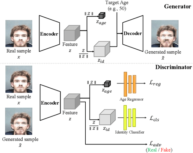 Figure 3 for Continuous Face Aging Generative Adversarial Networks