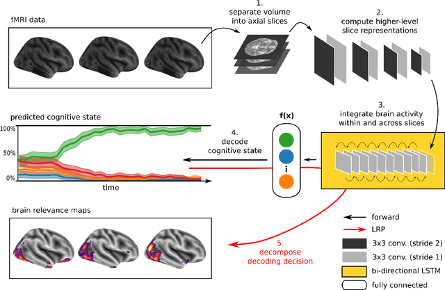 Figure 1 for Interpretable LSTMs For Whole-Brain Neuroimaging Analyses