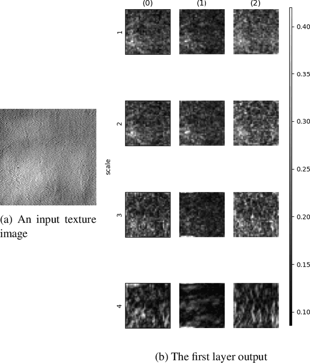 Figure 3 for Monogenic Wavelet Scattering Network for Texture Image Classification