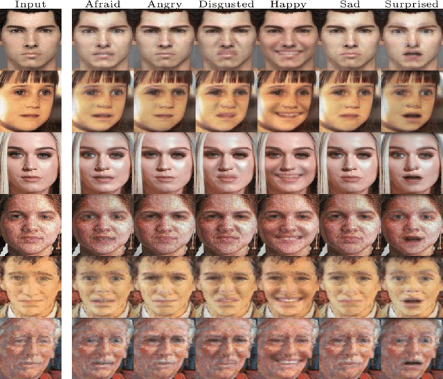 Figure 4 for Pixel-based Facial Expression Synthesis