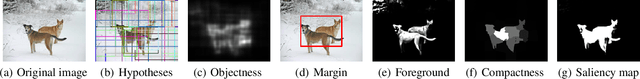 Figure 4 for Salient Object Detection via Augmented Hypotheses