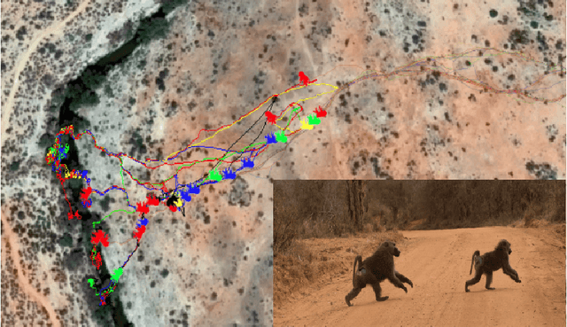 Figure 1 for Inferring Coordination Strategies from Time Series of Movement Data