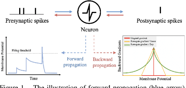 Figure 1 for Visual Explanations from Spiking Neural Networks using Interspike Intervals