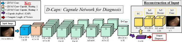 Figure 3 for Diagnosing Colorectal Polyps in the Wild with Capsule Networks