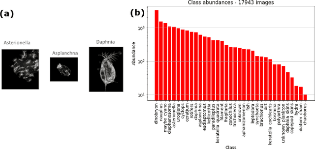 Figure 1 for Deep Learning Classification of Lake Zooplankton