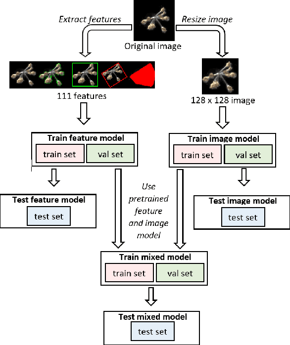 Figure 2 for Deep Learning Classification of Lake Zooplankton