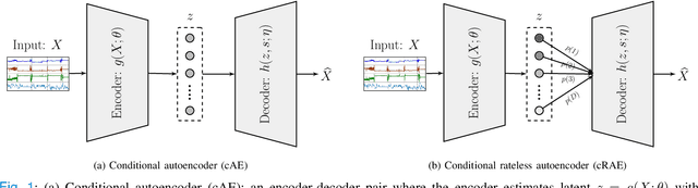 Figure 1 for Universal Physiological Representation Learning with Soft-Disentangled Rateless Autoencoders