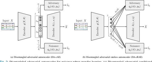 Figure 2 for Universal Physiological Representation Learning with Soft-Disentangled Rateless Autoencoders