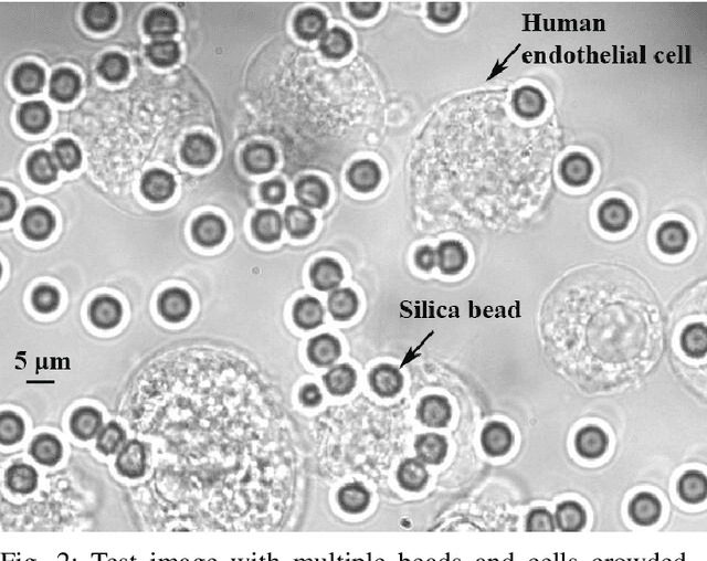 Figure 2 for Deep Learning-Based Semantic Segmentation of Microscale Objects