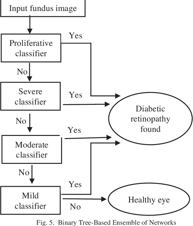 Figure 3 for Automated Smartphone based System for Diagnosis of Diabetic Retinopathy
