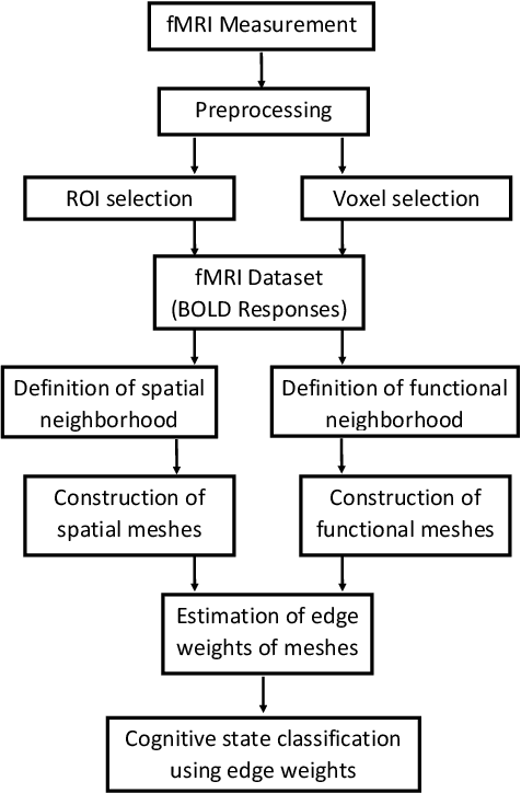 Figure 1 for Modeling the Sequence of Brain Volumes by Local Mesh Models for Brain Decoding
