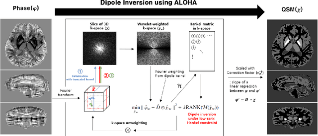 Figure 1 for Quantitative Susceptibility Map Reconstruction Using Annihilating Filter-based Low-Rank Hankel Matrix Approach