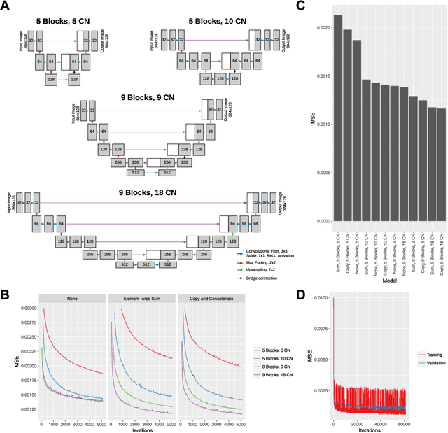 Figure 1 for Generating retinal flow maps from structural optical coherence tomography with artificial intelligence