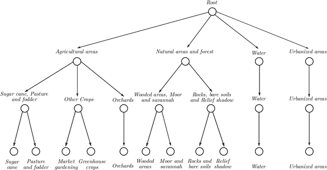 Figure 2 for Object-based multi-temporal and multi-source land cover mapping leveraging hierarchical class relationships