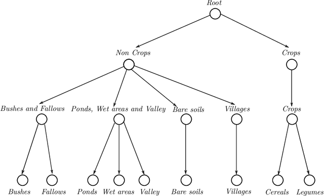 Figure 4 for Object-based multi-temporal and multi-source land cover mapping leveraging hierarchical class relationships