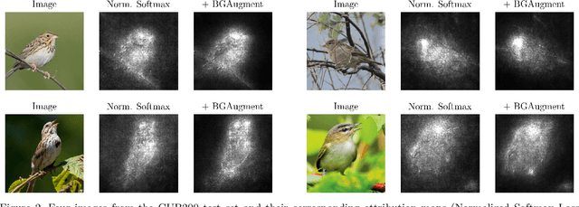 Figure 3 for On Background Bias in Deep Metric Learning