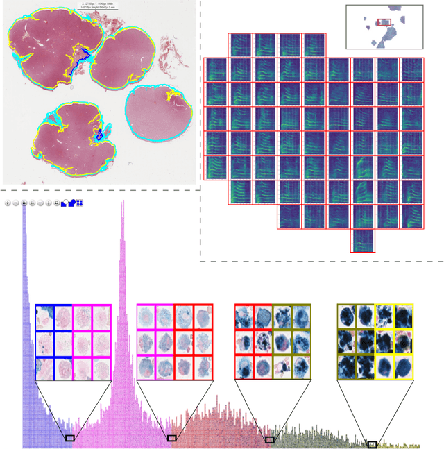 Figure 3 for EXACT: A collaboration toolset for algorithm-aided annotation of almost everything