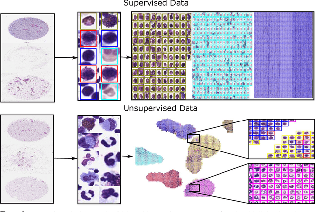 Figure 4 for EXACT: A collaboration toolset for algorithm-aided annotation of almost everything