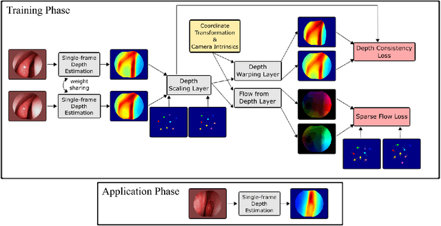 Figure 1 for Self-supervised Learning for Dense Depth Estimation in Monocular Endoscopy