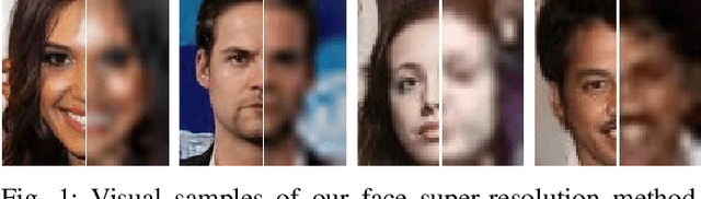 Figure 1 for SelFSR: Self-Conditioned Face Super-Resolution in the Wild via Flow Field Degradation Network