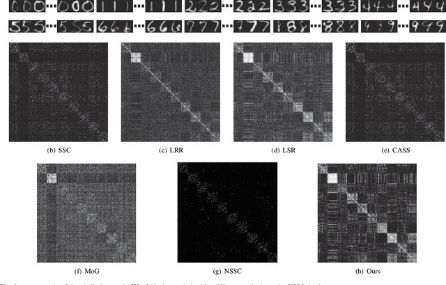 Figure 2 for Robust subspace clustering by Cauchy loss function